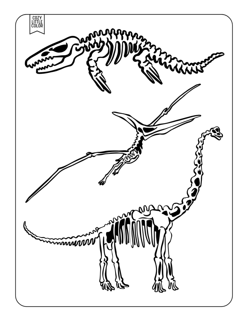 Types of Dinosaur Skeletons coloring page