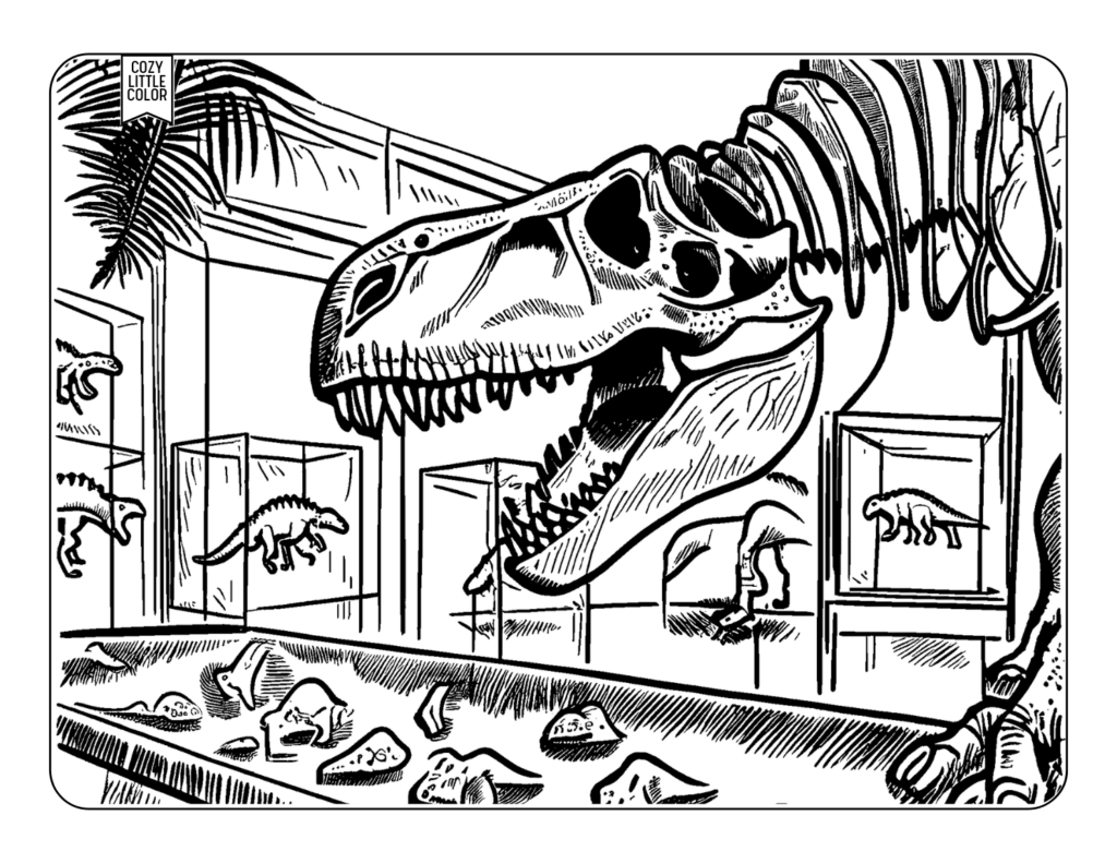 Dinosaur skeleton and fossils in museum coloring page