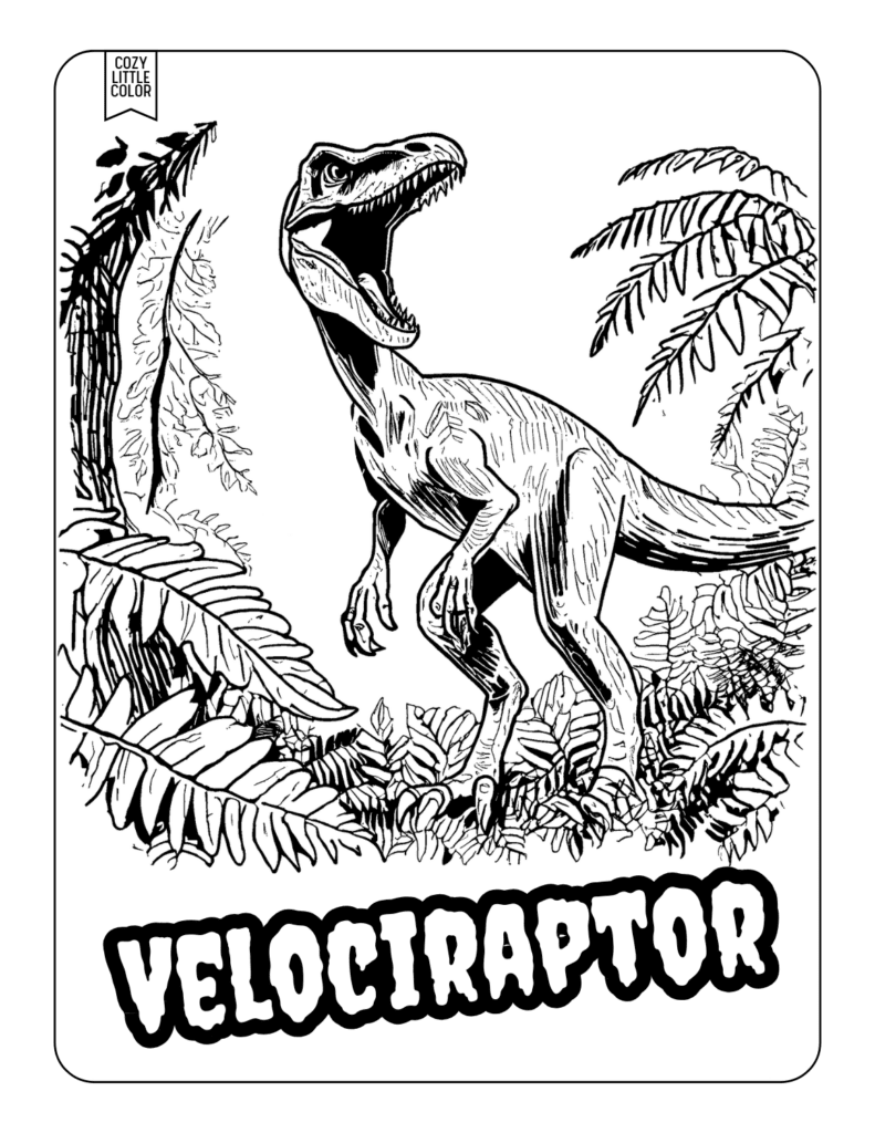 Velociraptor type of dinosaur coloring poster