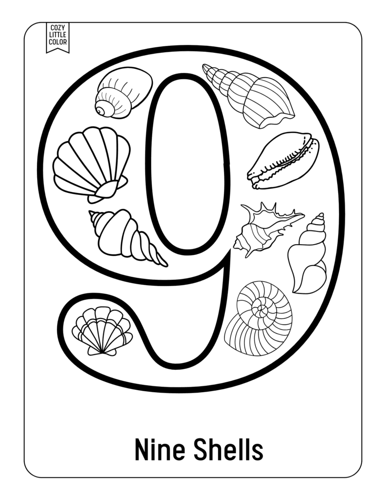 Free worksheet for kids to learn how to count to 9 with nine seashells