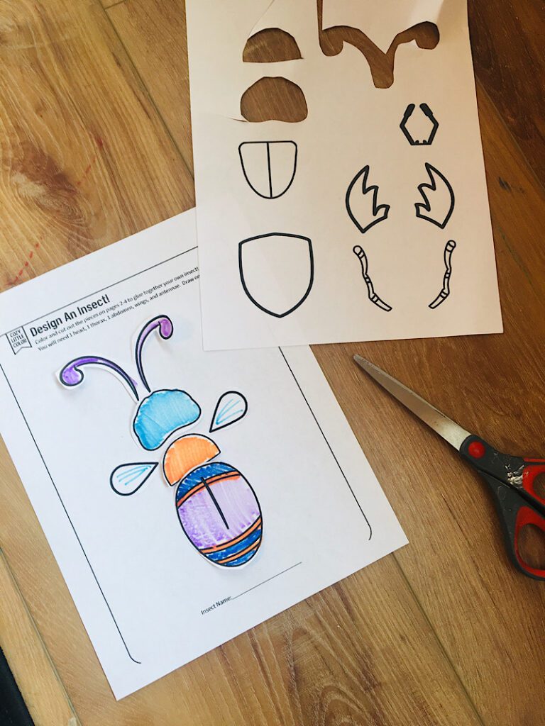 printable for kids to learn about insect parts homeschool free