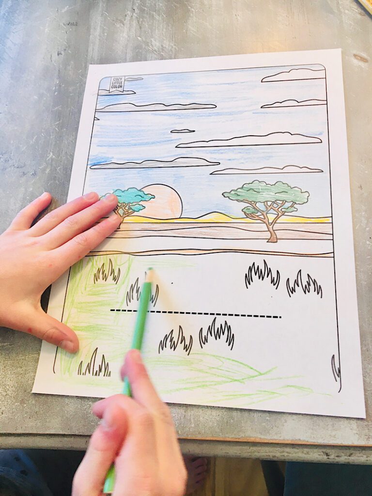 child coloring in a grasslands scene